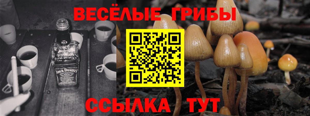 Псилоцибиновые грибы Magic Shrooms Благодарный